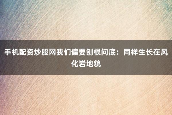 手机配资炒股网我们偏要刨根问底：同样生长在风化岩地貌