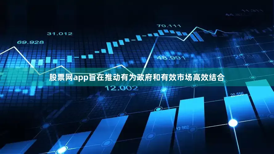 股票网app旨在推动有为政府和有效市场高效结合
