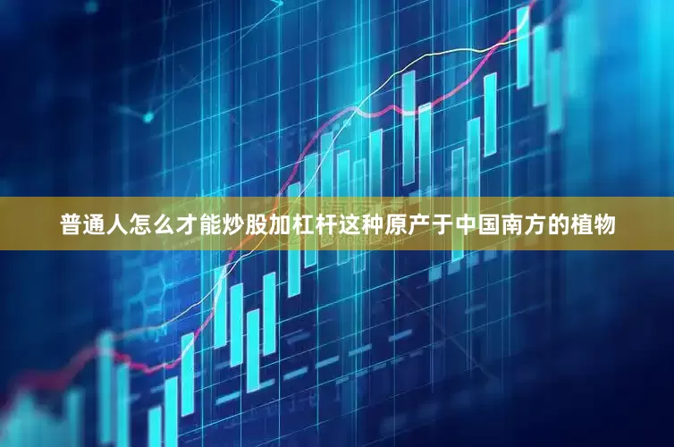 普通人怎么才能炒股加杠杆这种原产于中国南方的植物
