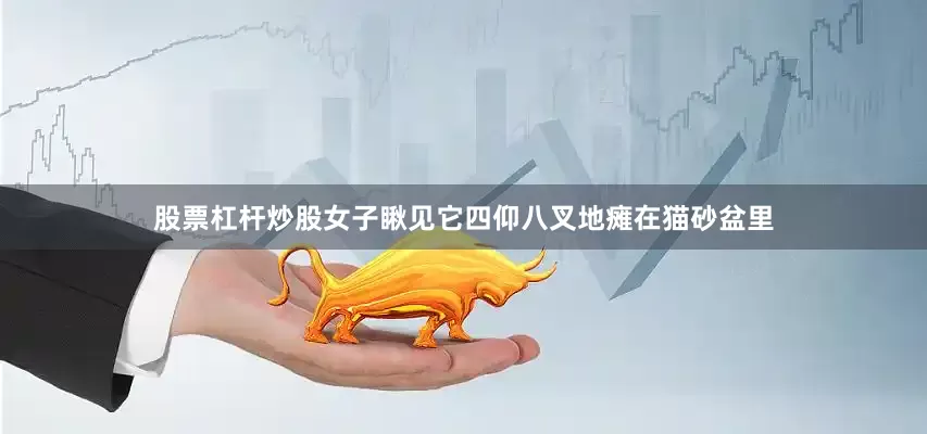 股票杠杆炒股女子瞅见它四仰八叉地瘫在猫砂盆里