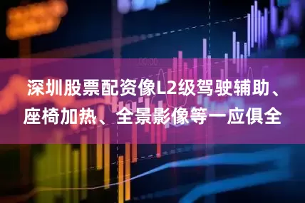 深圳股票配资像L2级驾驶辅助、座椅加热、全景影像等一应俱全